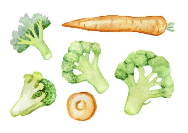 Isolated vegetables set watercolor by hand carrots broccoli orange green delicious healthy food — Stock Photo, Image