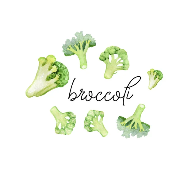 Watercolor illustration by hand broccoli inscription square banner for social networks — Stock Photo, Image