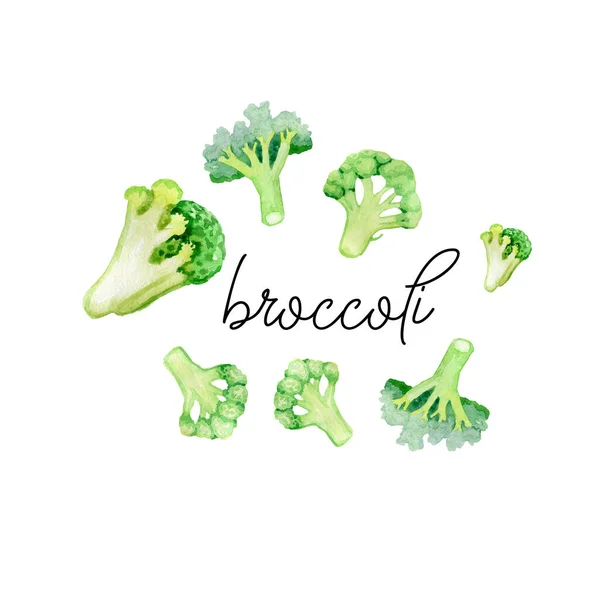 Broccoli design Stock Photos, Royalty Free Broccoli design Images Depositphotos