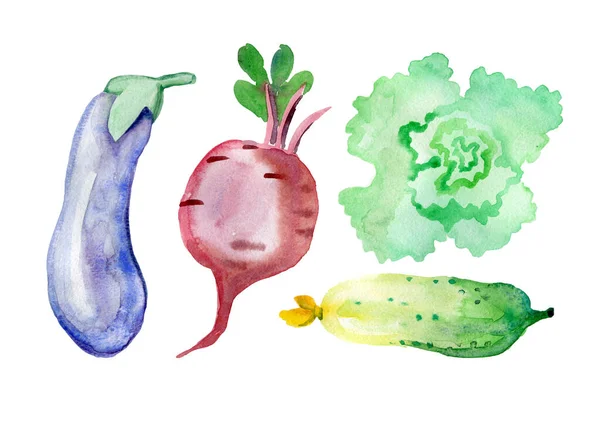 Акварельні овочі Листя огірків салат буряк баклажани здорове екологічно чисте фермерське харчування — стокове фото
