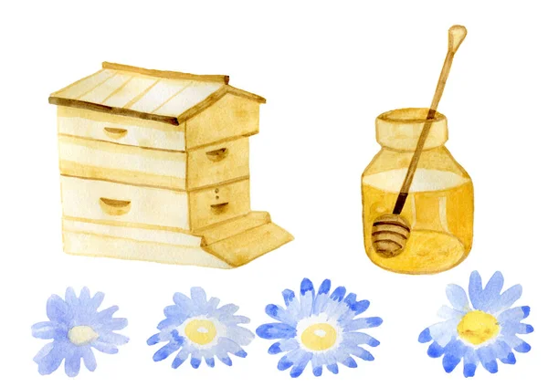 Výroba medu na písku izolované prvky dům med včelí plechovka heřmánku akvarel ručně — Stock fotografie
