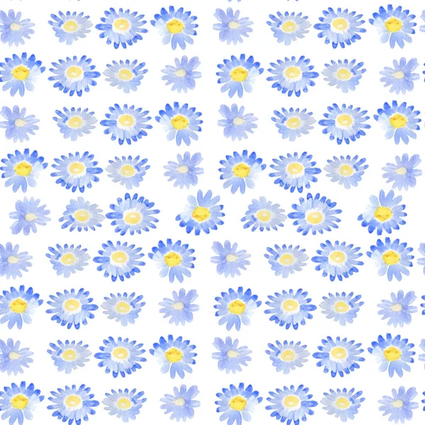 Niedliche Aquarellblumen Chrysanthemen Kamille blau auf weißem Hintergrund Provence Retro-Minimalismus — Stockfoto