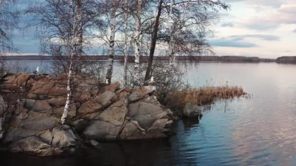 Flygfoto av fåglar på ett träd på en ö i mitten av sjön — Stockvideo
