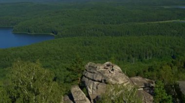 Kız doğada yoga ve spor yapıyor.