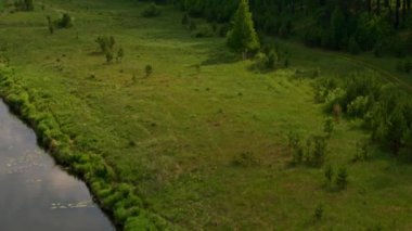 Nehir kıyısındaki bir arabanın hava görüntüsü.