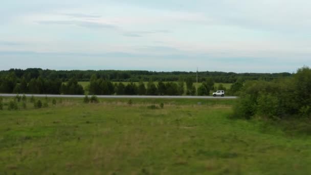 Veduta aerea di un'auto che percorre la strada tra campi di erba verde — Video Stock
