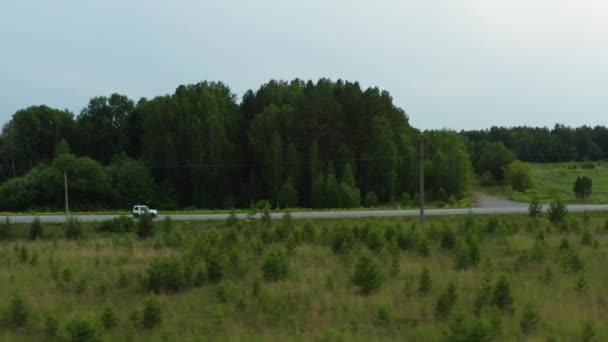 空中看到一辆汽车沿着大路行驶在绿草丛中 — 图库视频影像