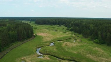Nehir kenarındaki doğada giden bir arabanın havadan görüntüsü.