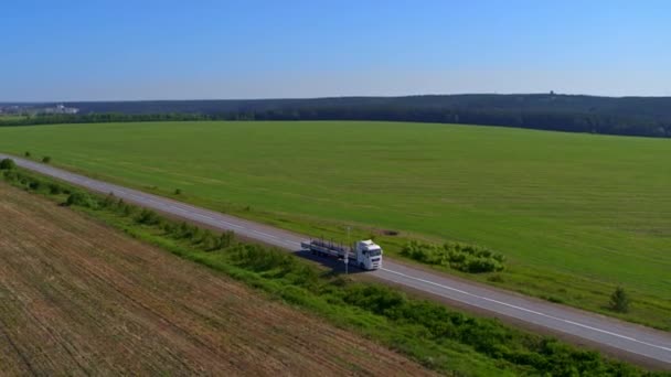 Flygfoto av en lastbil på motorvägen i naturen — Stockvideo