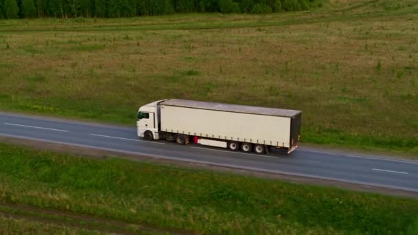 Vista aérea de un camión en la carretera — Vídeo de stock