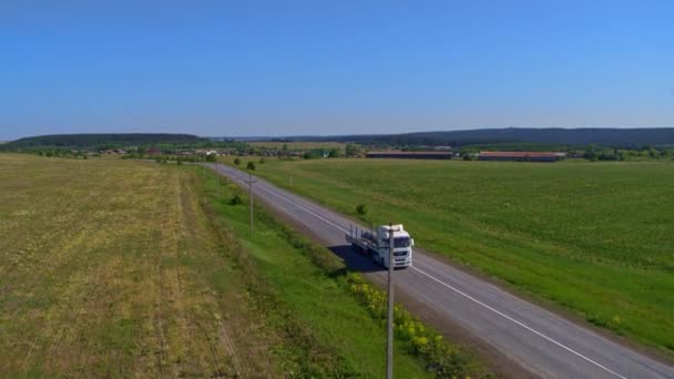 Vista aérea de um caminhão na estrada na natureza — Vídeo de Stock