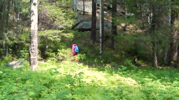 Une fille marche dans les bois — Video