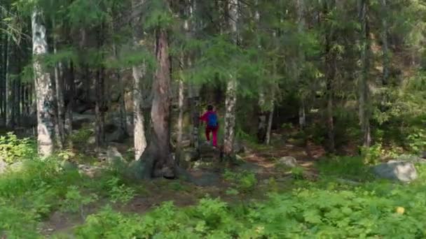 숲 속을 걷는 한 소녀 — 비디오