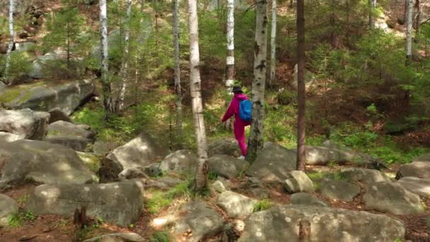 Vue aérienne d'une fille marchant dans les bois — Video