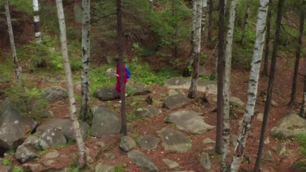 森の中を歩く少女の空中風景 — ストック動画