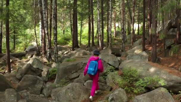 Вид с воздуха на девушку, гуляющую в лесу — стоковое видео