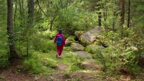 Вид с воздуха на девушку, гуляющую в лесу — стоковое видео