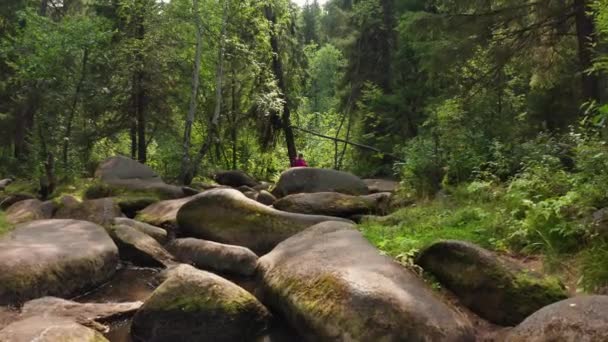 Турист гуляет по лесу — стоковое видео