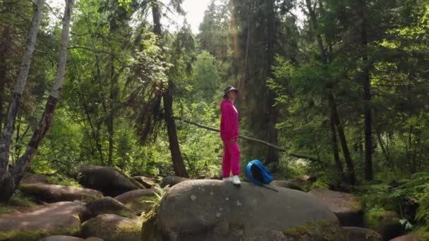 Un touriste marche à travers la forêt — Video