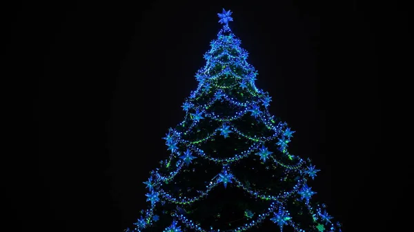 Juletræ med forskellige julelegetøj mod nattehimmel i centrum. Belyst nåletræ med dekorative pynt for at skabe festligt humør i ferien. - Stock-foto