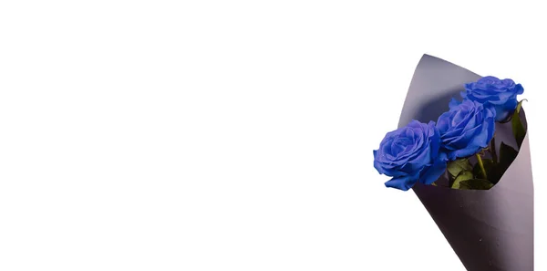 Buquê de rosas azuis clássicas em um fundo branco — Fotografia de Stock