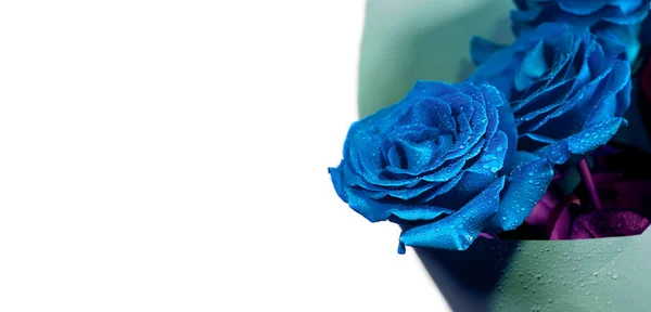 하얀 배경에 있는 전형적 인 파란색 장미 다발 — 스톡 사진