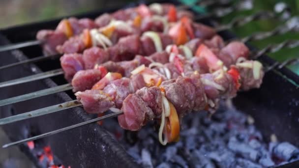 Primer plano de shashlik crudo con verduras en brochetas. Barbacoa suculenta con cebollas y tomates asados en chargrill. Concepto de picnic al aire libre. — Vídeo de stock