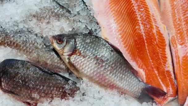 Zamknąć świeże surowe ryby w kawałkach lodu. Ryby schłodzone leżące na ladzie supermarketu z kruszonym przezroczystym lodem. — Wideo stockowe