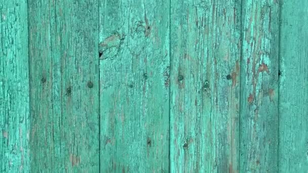 Green mint painted wood board texture and background. Green mint natural wooden background. Aged wood planks pattern. Wooden surface. Horizontal timber texture. Green mint wood barn. Green mint color — Stock Video