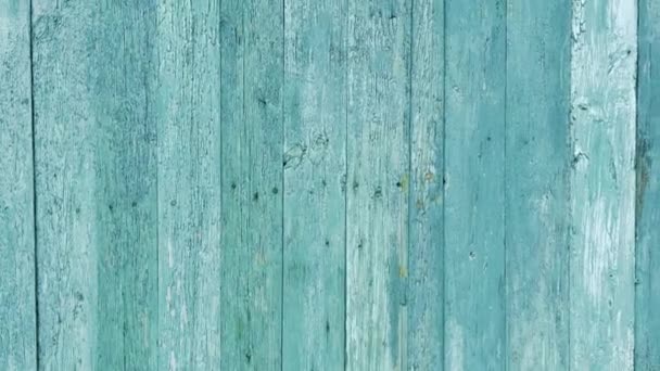 Green mint painted wood board texture and background. Green mint natural wooden background. Aged wood planks pattern. Wooden surface. Horizontal timber texture. Green mint wood barn. Green mint color — Stock Video