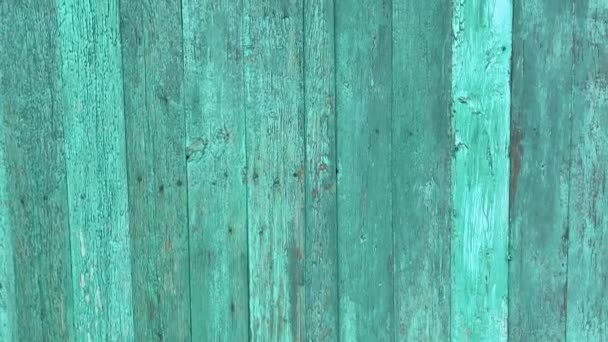 Green mint painted wood board texture and background. Green mint natural wooden background. Aged wood planks pattern. Wooden surface. Horizontal timber texture. Green mint wood barn. Green mint color — Stock Video