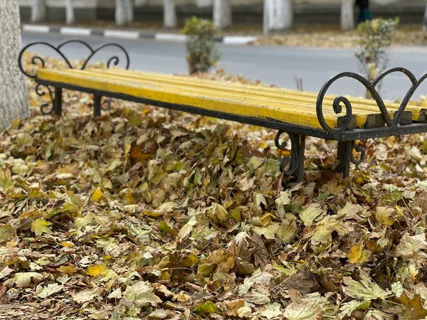 Bänke für die Erholung im Freien im Herbstlaub. Parkbank im Herbst. — Stockfoto
