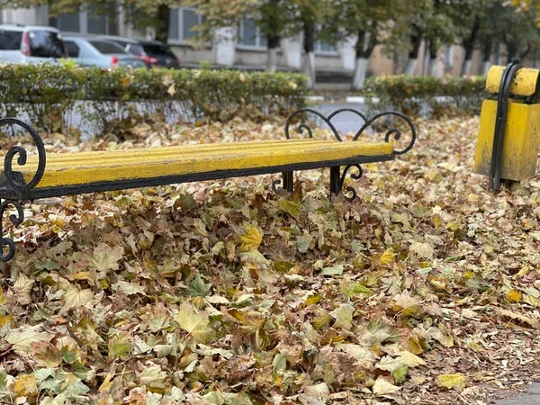 Bänke für die Erholung im Freien im Herbstlaub. Parkbank im Herbst. — Stockfoto