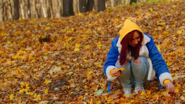 Jovem recolhe folhas de outono na floresta. Feminino escolhe belas folhas amarelas na temporada de outono. — Vídeo de Stock