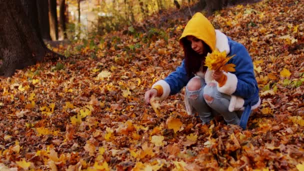 Jovem recolhe folhas de outono na floresta. Feminino escolhe belas folhas amarelas na temporada de outono. — Vídeo de Stock