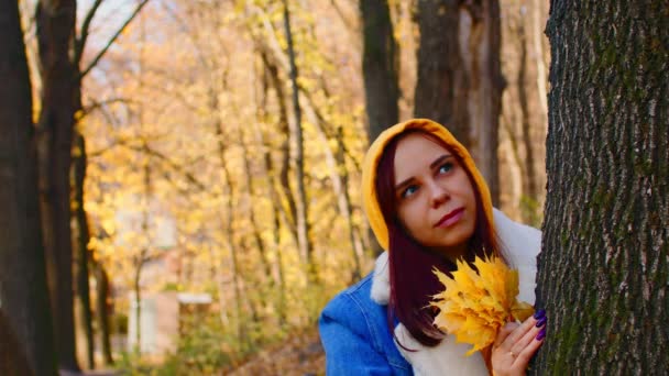 Junge Frau neben Baum im Herbstwald. Schöne Frau in lässiger Kleidung lächelt und hält Herbstblätter, während sie an sonnigen und windigen Tagen in der Nähe von Baumstämmen steht.