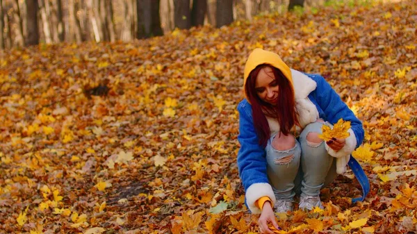 Genç kadın ormanda sonbahar yaprakları topluyor. Dişi, sonbahar mevsiminde güzel sarı yapraklar seçer.. — Stok fotoğraf
