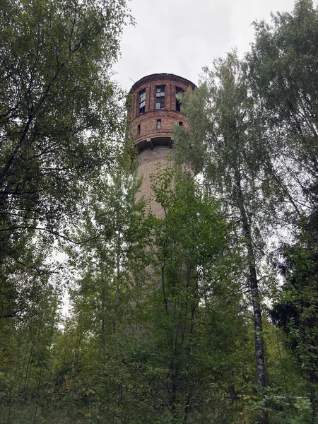 Alter Wasserturm Umgeben Von Bäumen Ziegelturm Auf Dem Land — Stockfoto