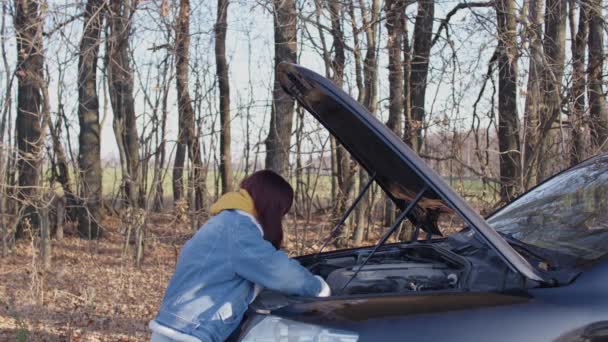 Bilen Gick Sönder Vägen Kvinnan Reparerar Ett Motorfordon Huven Efter — Stockvideo