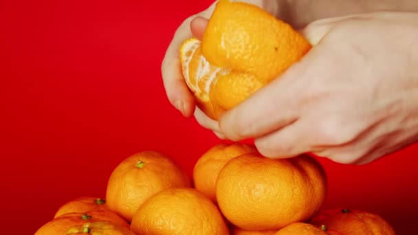 Close Men Hands Cleaning Tangerine Bunch Tangerines Red Background — Stok video