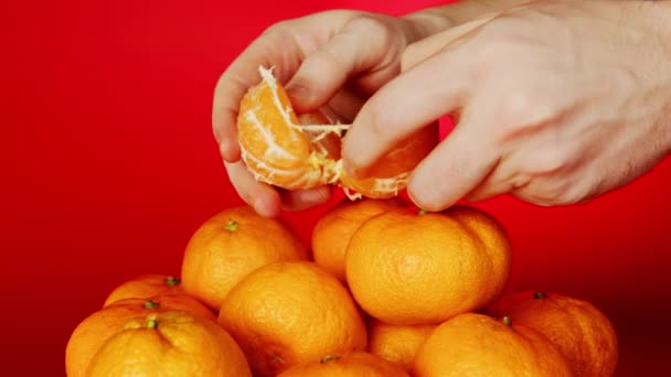 Крупним планом чоловічі руки очищення мандарина, купа мандаринів на червоному тлі — стокове відео