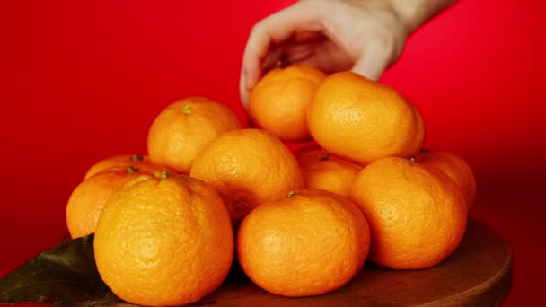Крупним планом чоловічі руки беруть мандарини з купи фруктів, мандарини на червоному тлі — стокове відео