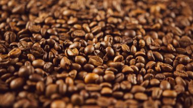 Taze kahve çekirdekleri. Kokulu içecek hazırlamak için bir sürü kızarmış fasulye. Kapat.