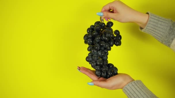 Persoon met een bos rijpe zwarte druiven. Plantaardige hand demonstreren bos van rijpe natte druif op felgele achtergrond — Stockvideo