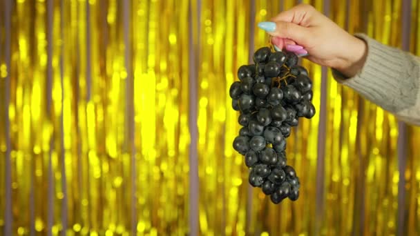 Persoon met een bos rijpe zwarte druiven. Crop hand demonstreren bos van rijpe natte druif op heldere briljante gele achtergrond — Stockvideo