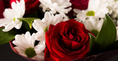 Yakın plan kırmızı güller ve papatyalar.