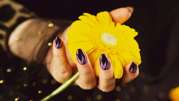 Adult Woman Hand Purple Manicure Black Background Crop Unrecognizable Person — Stock Photo, Image