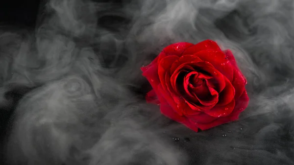 抽象的な重い赤いバラ 赤いバラの花びらの煙の黒い背景 — ストック写真