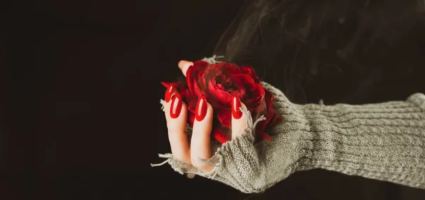 Woman Sweater Red Rose Black Background Red Rose Hand Black — Stock Photo, Image