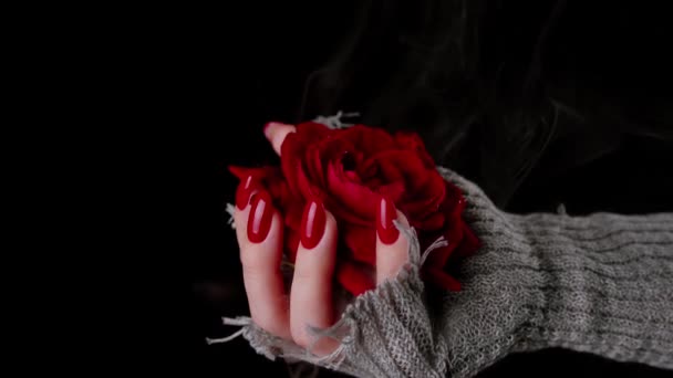 Білий корінь анонімної жінки з червоною квіткою в'язаний светр, що стоїть у темній кімнаті. Жінка тримає червону троянду в диму — стокове відео